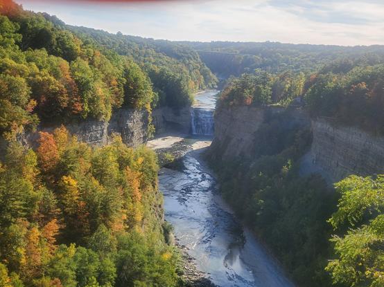 Middle Falls, Letchworth State Park, New York. Mixed old-growth forest stretches to the horizon, green speckled with fall hues. The Genessee River cuts through the middle, flanked on both sides by a sheer shale gorge. In the distance, a waterfall cascades off a cliff, stirring the river ahead of it. The sky is light blue, spanned by wispy white clouds illuminated from behind by the late afternoon sun.