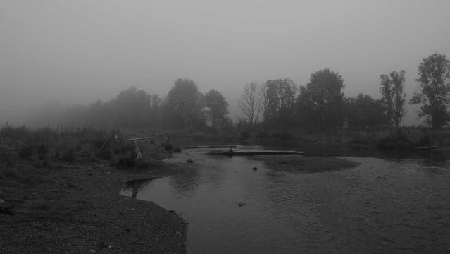 Flussufer im Nebel