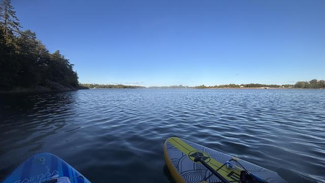 Picture showing the tops of two paddleboards sitting side by side on the water with cliffs and forest to the left, more forest and a few houses on the horizon and clear blue skies.