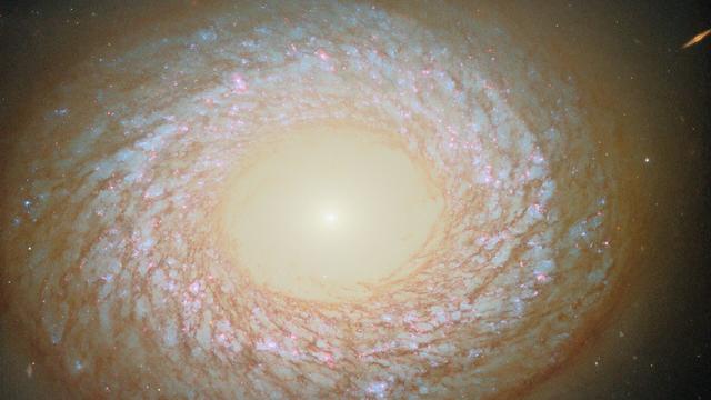 <img alt="NGC 2775: la galassia ibrida tra spirale ed ellittica osservata da Hubble" class="webfeedsFeaturedVisual wp-post-image" height="1080" src="https://i3.wp.com/cdn.mos.cms.futurecdn.net/QjfHAM77EzKqdhqNoqEcF6-1920-80.jpg?w=1920&amp;resize=1920,1080&amp;ssl=1" style="display: block; margin-bottom: 5px; clear: both;" title="NGC 2775: la galassia ibrida tra spirale ed ellittica osservata da Hubble" width="1920" /><div class="starw-prima-del-contenuto_4" id="starw-354944292"><div id="addendoContainer_Interstitial"></div></div><p>Gli astronomi classificano le galassie in base alla loro struttura visibile. Le <strong>galassie a spirale</strong>, come la Via Lattea, si distinguono per il disco piatto con bracci a spirale e la continua formazione stellare. Le <strong>galassie ellittiche</strong>, invece, appaiono come sfere lisce e prive di dettagli, ospitando stelle più antiche e mostrando scarso contenuto di gas e polvere.</p><div class="starw-contenuto_6" id="starw-2745386384" style="margin-top: 2px; margin-bottom: 2px;"><!-- BOX 300x250 Articolo 1 -->
<div id="addendoContainer_9001" style="width: 300px; height: 250px;">
</div></div>
<p>Accanto a queste tipologie esistono galassie irregolari, difficili da incasellare, e altre che mostrano caratteristiche di entrambe le categorie. Un esempio emblematico è <strong>NGC 2775</strong>, osservata dal <strong>Telescopio Spaziale Hubble</strong>.</p>
<h2>Una struttura mista</h2>
<p><img alt="Una galassia con forma irregolare" src="
