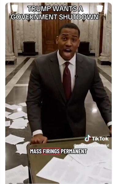 Screenshot of the tiktok video about trump wanting the shutdown
