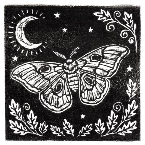 Black and white Linocut block print of a moth with the moon and stars in the background.  Leaves and vines border the image.