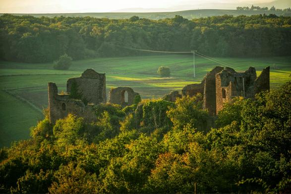 Das Bild zeigt eine Burgruine, auf einer bewaldeten Kuppe im Abendlicht