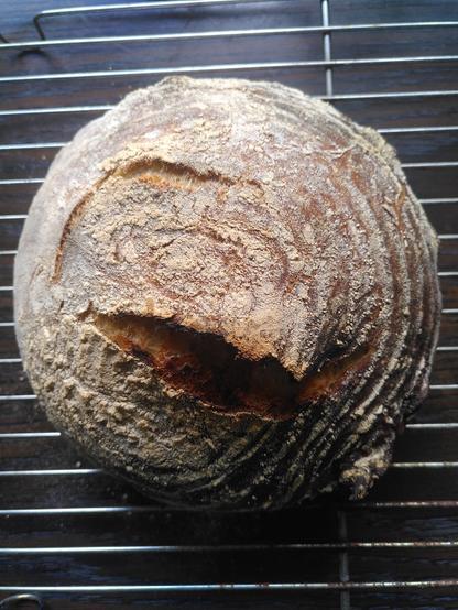 Et nybagt rundt brød set fra oven på en bagerist, med striber efter hævekurven og med en flække i toppen.