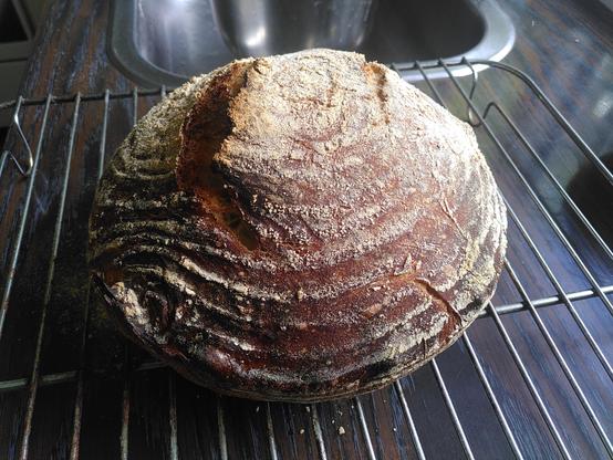 Et nyagt rundt surdejsbrød stående på en bagerist, set fra siden. Der er striber fra hævekurven, og brødet er smukt gyldent med hvide striber af mel, også fra hævekurven.