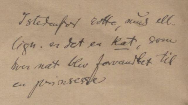 A handwritten note from the late 19. century: Istedenfor rotte, mūs ell. lign. er det en kat, som hver nat blir forvandlet til en prinssesse.