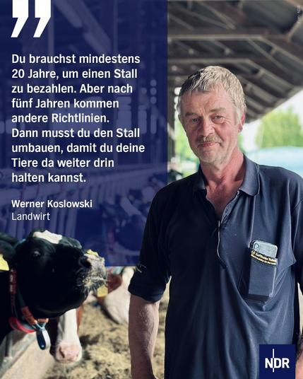 Das Bild zeigt einen Landwirt mittleren Alters mit hellem Haar und Schnurrbart. Er trägt ein dunkelblaues Poloshirt und steht in einer Stallumgebung, vermutlich einem Kuhstall. Er blickt direkt in die Kamera. Im Vordergrund links ist der Kopf einer schwarz-weißen Kuh zu sehen, und im unscharfen Hintergrund sind weitere Kühe in ihren Boxen erkennbar.
Text: "Du brauchst mindestens 20 Jahre, um einen Stall zu bezahlen. Aber nach fünf Jahren kommen andere Richtlinien. Dann musst du den Stall umbauen, damit du deine Tiere da weiter drin halten kannst.
Werner Koslowski
Landwirt"