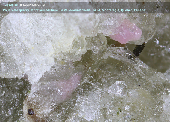 Pink tugtupite (after exposure to UV light) from the Poudrette quarry, Mont Saint-Hilaire. Photo by Martin Slama.
https://www.mindat.org/photo-1045977.html
