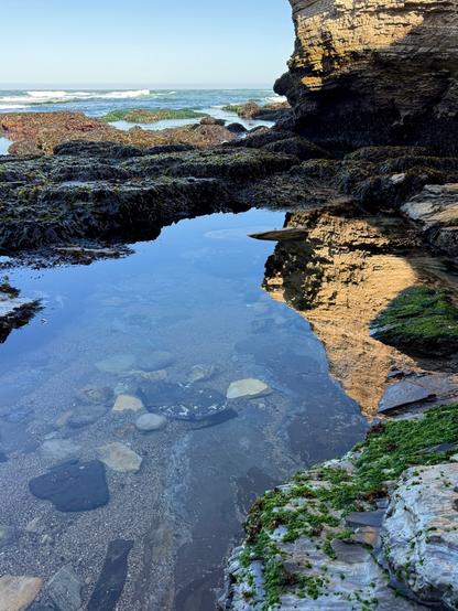A large blue tide pool is in the foreground, You can see rocks and sand on the bottom, while the blue sky is reflected on the water surface. To the right of the tide pool is a gray rock with green algae. Beyond the tide pool are more pools, rocks, seaweed and then the ocean waves rolling in. Also on the right hand side is a portion of the golden bluff cliff which is reflected in the tide pool. Coon Creek Beach in Montaña De Oro State Park, Los Osos, California.