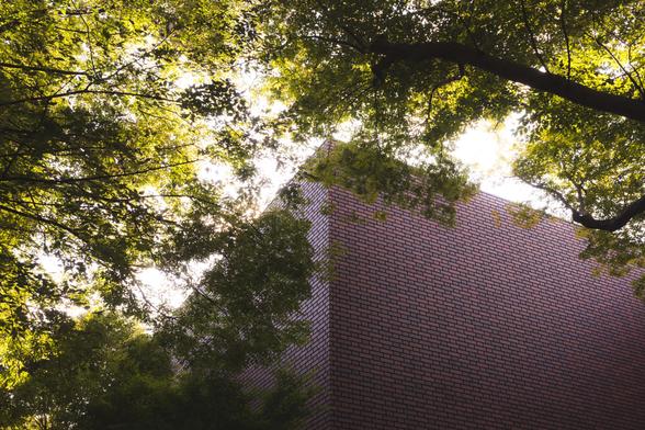 Brick building partially obscured by dense foliage, with sunlight filtering through the leaves, casting dappled shadows. The structure’s corner is visible, highlighting its rectangular form against the natural greenery.