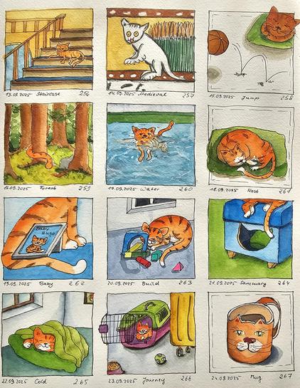 12 kleine Aquarellbilder: 13. Katze in der Mitte einer Treppe, 14. Replik einer mittelalterlichen Darstellung, 15. Bequem liegende Katze, die einen springenden Ball ignoriert, 16. Wald, in dem sich hinter einem Baum eine Katze versteckt,  17. unglücklich Katze in Wasser schwimmend, 18. Ruhende Katze auf einem grünen Kissen, 19. Bild eines Babykätzchens angelehnt an eine erwachsene Katze,  20. Katze vor Bauklötzchen, 21. Katze thront auf Sessel, der ihren Zufluchtsort enthält, 22. Rotgetigerte Katze,  die sich zwischen grüner Decke und grünem Kissen im kalten Raum aufwärmt, 23. Katze in einem offenen Katzentranzportkorb neben einem gelben Trolley, fertig für die Reise, 24. Großer Kaffeepott mit Katzengesicht