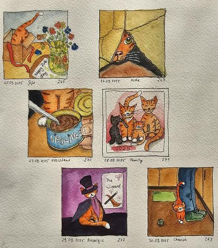 6 kleine Aquarellbilder: 25. Tischen mit einem Blumenstrauß in der Vase, dahinter eine Katze, die in den leeren Geschenkkarton springt, 26. Katze, die sich unter einem Karton versteckt.  27. Katze, die beim Öffnen ihrer Lieblingsfutterdose assistiert, 28. Familienfoto einer vierköpfigen Katzenfamilie, wovon die schwarze Katze allen ihr Hinterteil zudreht. 29. Katze im nostalgischen Zaubererkostüm. 30. Katze umgarnt die Beine ihres Menschen als Zeichen der Wertschätzung.
