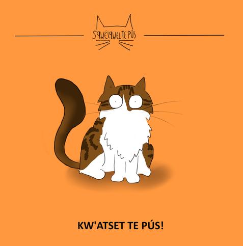 A cartoon of a tabby and white Maine Coon cat with an orange background. At the top of the image is the Cat News logo written in Halqemeylem - 'Sqelqwel te pus', and at the bottom is the text 'Kwa'atset te pus.'
