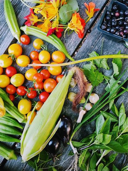 A picnic table covered in summer produce: red, orange, and yellow tomatoes, corn, okra, basil, nasturtium flowers, eggplants and aronia berries. From the cover of Vol. 12 No. 2 (2025): On Resilience, Adaptability, Cooperation, and Innovation.