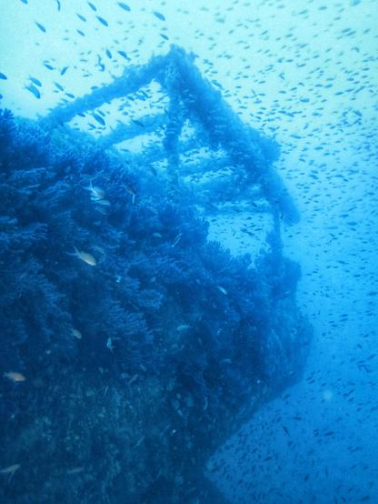 Le Sagona aka Le Grec - https://www.ulysseplongee.fr/blog/le-grec-le-sagona/
#scuba #plongee #wreck #diving #hyeres #porquerolles