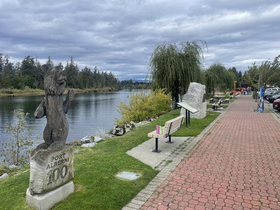 Looking out along Victoria Quay in Port Alberni over the Somass River. There are often bears on the other side, especially this time of year, looking for salmon. There is a res paved stone walkway with grass at the edge and some park benches. A small statue of a bear stands atop a plinth with 100 Port Alberni. For the centennary in 2015.