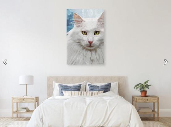 White Maine Coon Cat on blue watercolor in a furniture setting.  Art by Sharon Cummings.