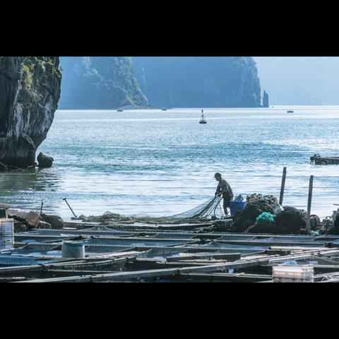 Fisherman on the Halong bay , Vietnam