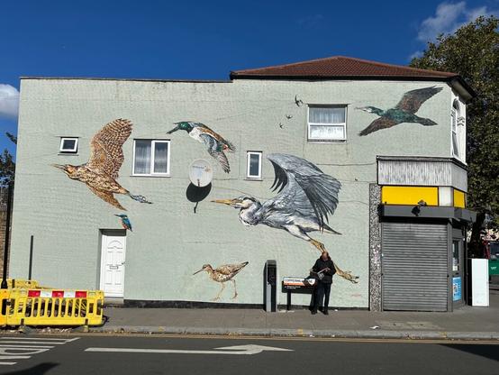 a mural of a variety of birds on the pale green wall of a shop building. A man stands reading a paper next to a sign identifying the street as Coppermill Lane