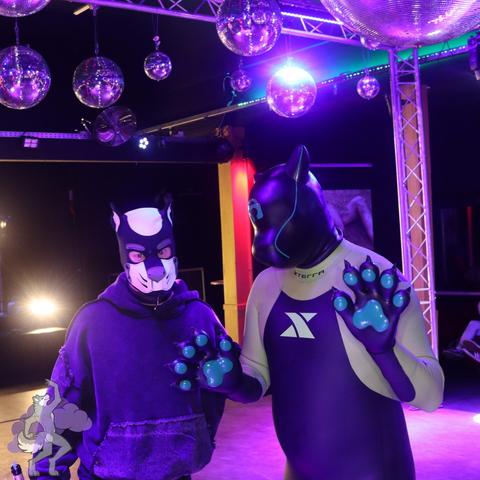 The photo shows two individuals in a dimly lit venue illuminated with purple and blue lighting. The person on the right is wearing a black and green Xterra wetsuit. They also have black paw gloves with green paw pads and a black silicone drone mask made by Furrjoi, which features a green lock symbol printed on the face. The person on the left is dressed in a dark hoodie and a black-and-white pup hood. Above them, multiple disco balls reflect the colorful lights, creating a lively, party-like atmosphere.