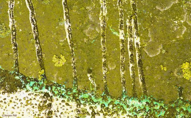 tekening van schimmel en mos op containerwand

drawing of moss and mold on container wall