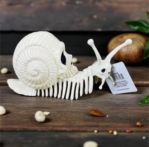 Resin Halloween figure. It's a snail skeleton, there are rib like structures where it's foot should be. There are bones in the eye stalks. The shell is a skull.