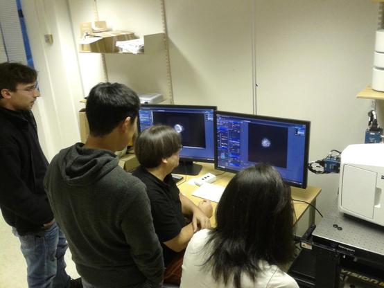 Lightsheet microscopy demo