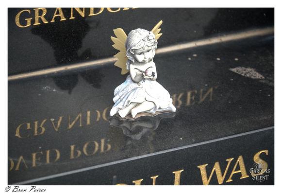 A very close up photograph of a small, white, angel figurine with pale yellow wings, sitting on the polished surface of a black granite grave marker at Kingston on Murray Cemetery.  The figure is centered on the reflective stone, which shows blurred, mirrored gold-colored inscriptions.  The angel is kneeling and appears to be holding a small object. The texture of the stone and the reflection of the surrounding area are clearly visible.