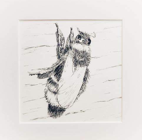 Auf dem Bild sieht man eine Zeichnung von einer Erdhummel. Sie sitzt an einer Holzwand und sonnt sich.