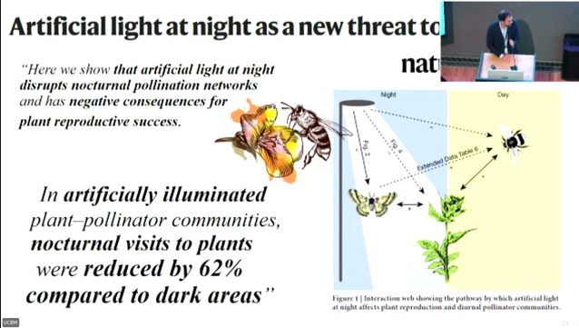 Slide: Artificial light at night as a new threat to pollinators".
"Here we show that artificial light at night disrupts nocturnal pollination networks and has a negative consequences for plat reproductive success"
In artificially illuminated plant-pollinator communities notucturnal visits to plants were reduced by 62% compared to dark areas"