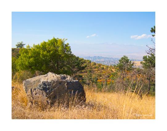 An autumn scene in Armenia. There is a rock in the dried up grass on the left side of the foreground. The mid-ground features a hill sparsely covered with some still green trees and shrubbery. A partial city-scape, and Mount Aragats, can be seen in the background.