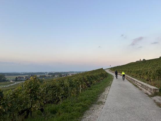 Two cyclists in the vineyards above Nyon