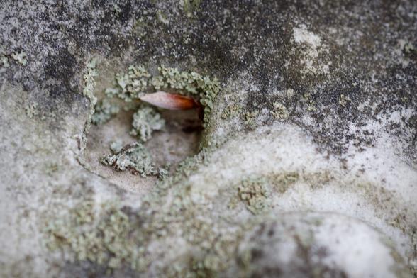 A small opening in a gravestone carving