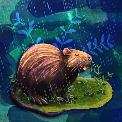 Illustration von einem Nutria mit geschlossenen Augen. Es sitzt auf einer kleinen grünen Insel im Regen.