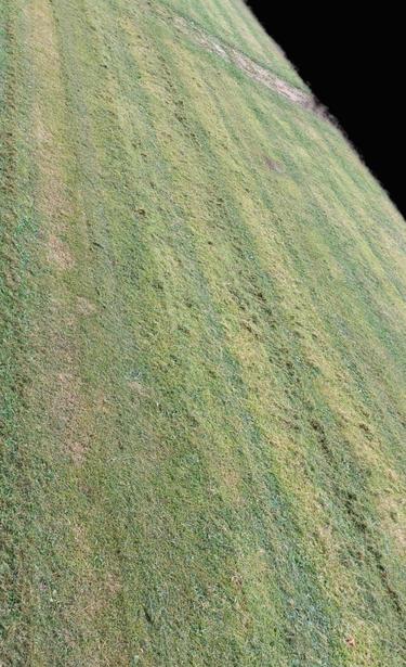 Gemähte Rasenfläche, auf der die Spurrillen des Rasenmähers deutlich zu erkennen sind, während der Rasen als eine grün-gelb-graue Fläche nur zu erahnen ist. Vereinzelt liegen daumengroße Mähgutreste in lockeren Streifen auf der Fläche - wo nichts zu Mähen ist, fällt auch kein Mähgut an.