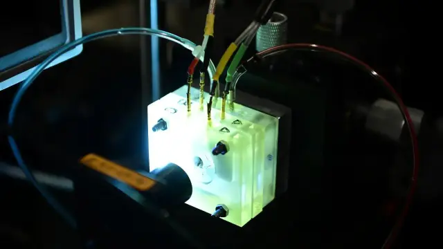 Per la prima volta una coclea di mammifero resta viva fuori dal corpo. I ricercatori del Rockefeller hanno osservato in tempo reale come amplifica i suoni deboli, confermando un principio biofisico dibattuto da 27 anni. L'esperimento apre la strada a test farmacologici mai possibili prima per curare la sordità neurosensoriale. Se capisci come funziona il sistema, puoi pensare a come ripararlo.