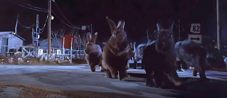 A widescreen still shot from the movie ‘Night Of The Lepus’ shows a rural road at night with some houses, power lines and a highway sign that reads ‘82’. There are giant truck-sized brown and black rabbits running along the road, lit by what would have to be a comically bright streetlight out of the frame.

Basically just some charging giant rabbits in early 70’s film stock colors under dark night skies.