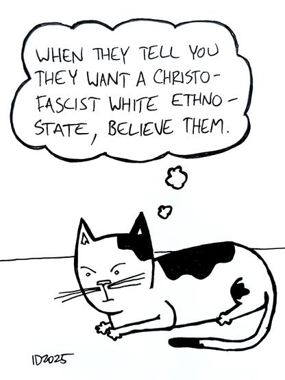 a black and white cat lounges angrily and thinks "when they tell you they want a christofascist white ethnostate, believe them."