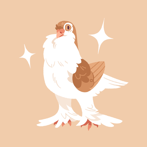 A painting of a breed of fancy pigeon- the Lahore. It's standing proudly upright with a large sparkle on either side.