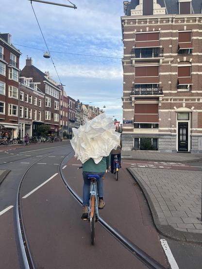 Person on bike in Amsterdam with a big flowery lam on their back.