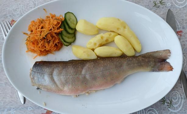 Bachseibling