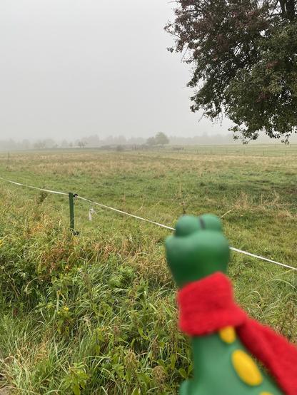 Kleiner dino glotzt