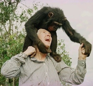 Jane Goodall and friend