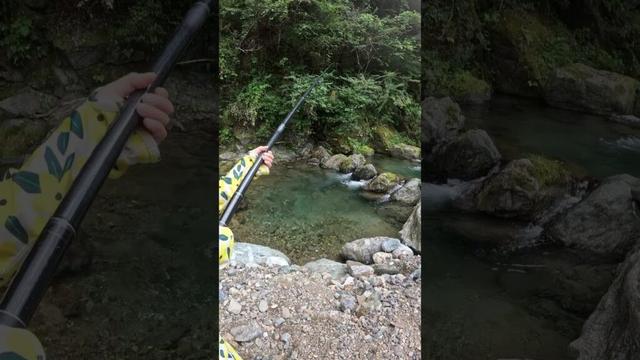 奈良川上村tocotocoの森で娘とアマゴ釣り#shorts