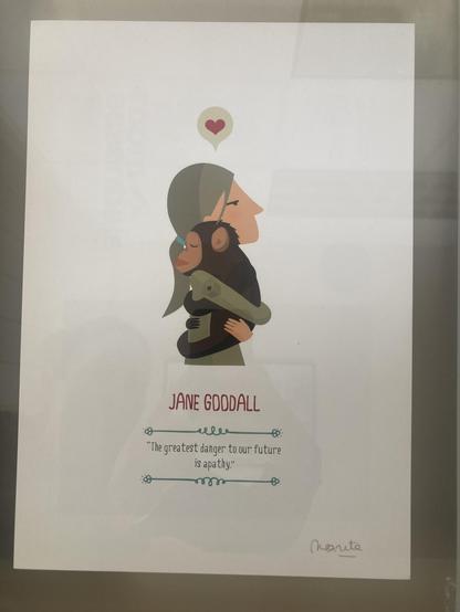 Art hanging on my office wall showing Jane Goodall holding a young chimp with the quote "the greatest danger to our future is apathy"