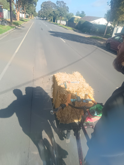 A bearded man is riding an Omnium cargo bike down the middle of The Parade in Kensington Gardens with a bale of bedding straw on the front.