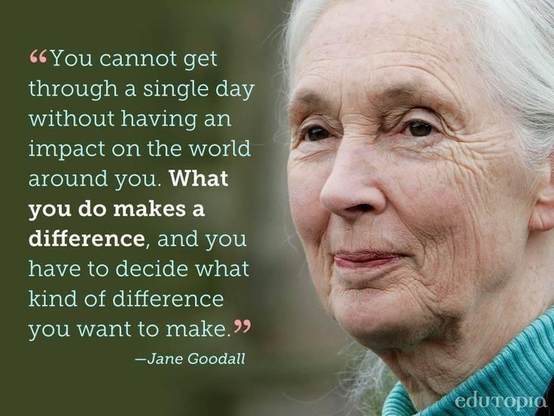 Photograph of Jane Goodall with a quote: 

“You cannot get through a single day without having an impact on the world around you. What you do makes a difference, and you have to decide what kind of difference you want to make."
-Jane Goodall