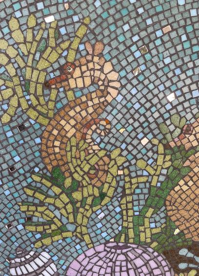 Seahorse with intact seagrass, mosaic NSW