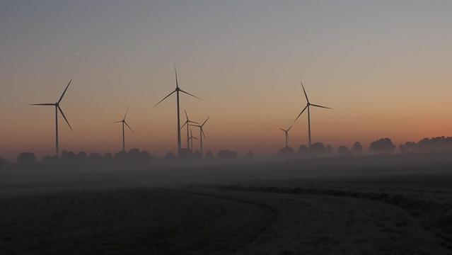 Windräder mit Bodennebel im Morgenlicht