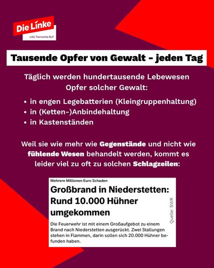 Tausende Opfer von Gewalt - jeden Tag 

Täglich werden hunderttausende Lebewesen Opfer solcher Gewalt: - in engen Legebatterien (Kleingruppenhaltung) 
- in (Ketten-)Anbindehaltung 
- in Kastenständen 
Weil sie wie mehr wie Gegenstande und nicht wie fühlende Wesen behandelt werden, kommt es leider viel zu oft zu solchen Schlagzeilen: 
Mehrere Millionen Euro Schaden 
GrofBbrand in Niederstetten: Rund 10.000 Hühner umgekommen - Die Feuerwehr ist mit einem GroBaufgebot zu einem Brand nach Niederstetten ausgerückt. Zwei Stallungen stehen in Flammen, darin sollen sich 20.000 Hühner befunden haben.